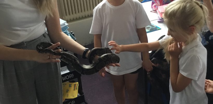 Noodle the Snake visits Year 4 – 28th September 2023