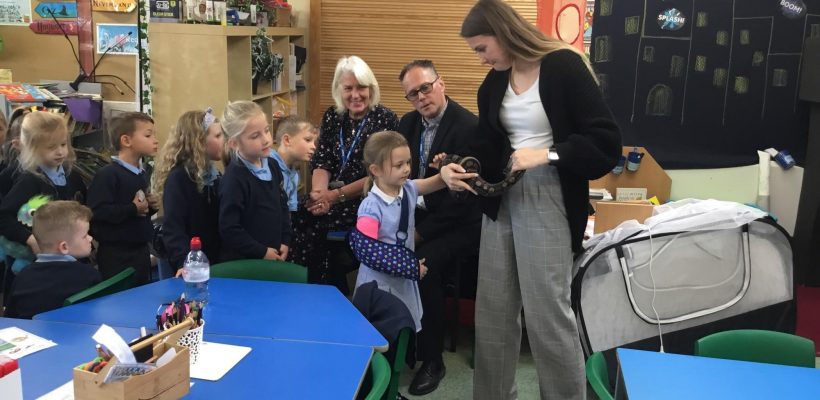Noodle the Snake visits Year 1 – 28th September 2023
