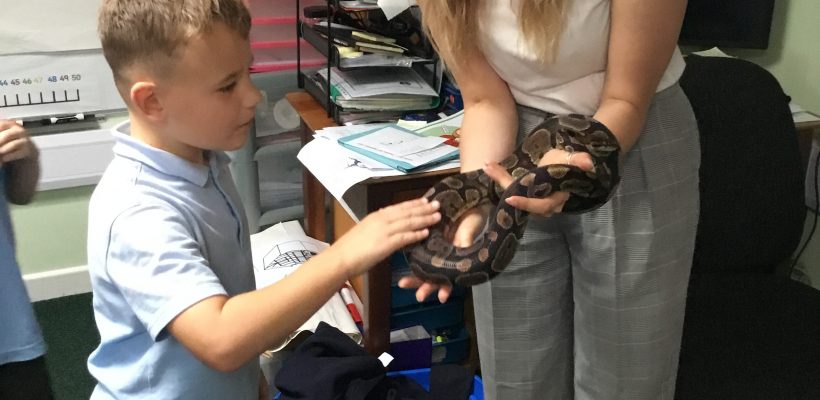 Noodle the Snake visits Year 3 – 28th September 2023