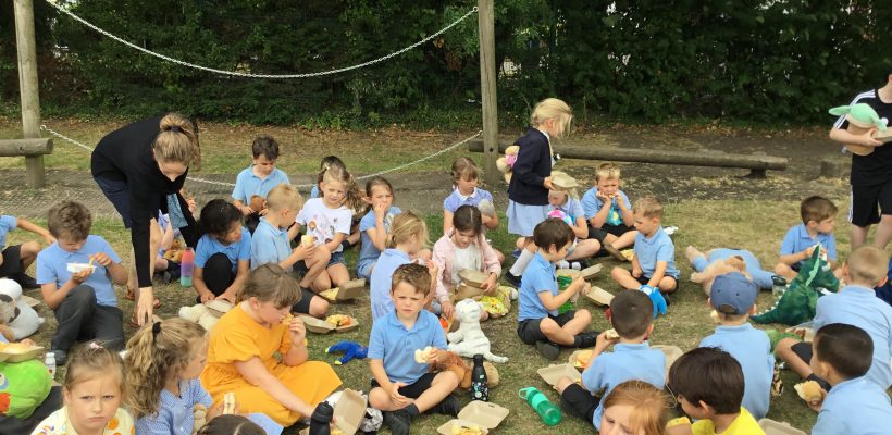 The Infant Teddy Bears’ Picnic – 20th July 2022
